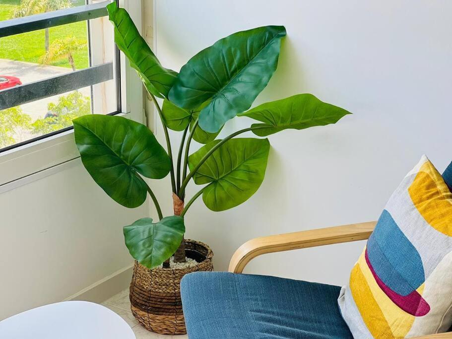 Los Amigos Apartment توريمولينوس المظهر الخارجي الصورة